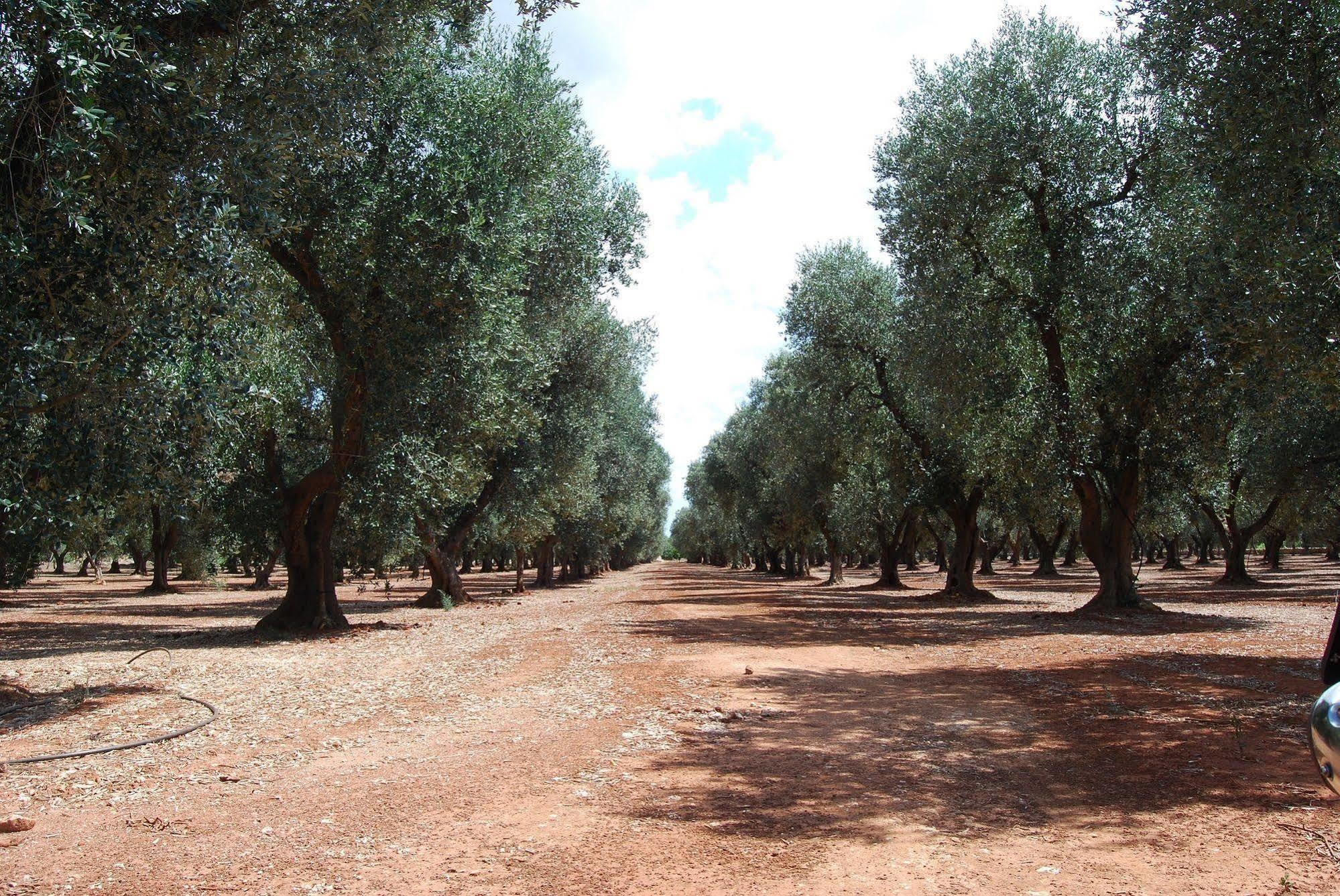 Вилла Terra Di Leuca Сальве Экстерьер фото